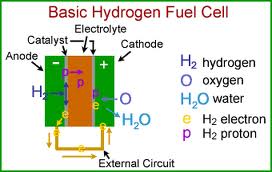 Presentation on Hydrogen Fuel Cells