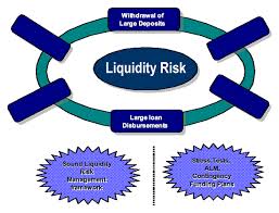 Briefly Explain on Liquidity Risk