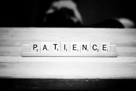 Explain on Patience is the Best for forex trading