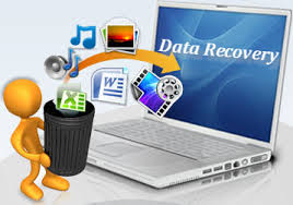 Find Professional Data Recovery