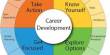 Careers in IT Development