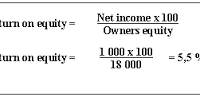 Define and Discuss on Return on Equity