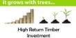 Define and Discuss on Timber Investment