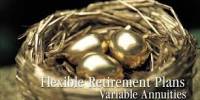 Discuss on Utilizing Variable Annuities