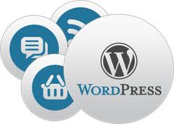 Word Press Development to Customize Web Applications