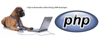 Benefits of PHP Developer