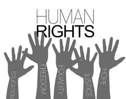 What is Fundamental Rights