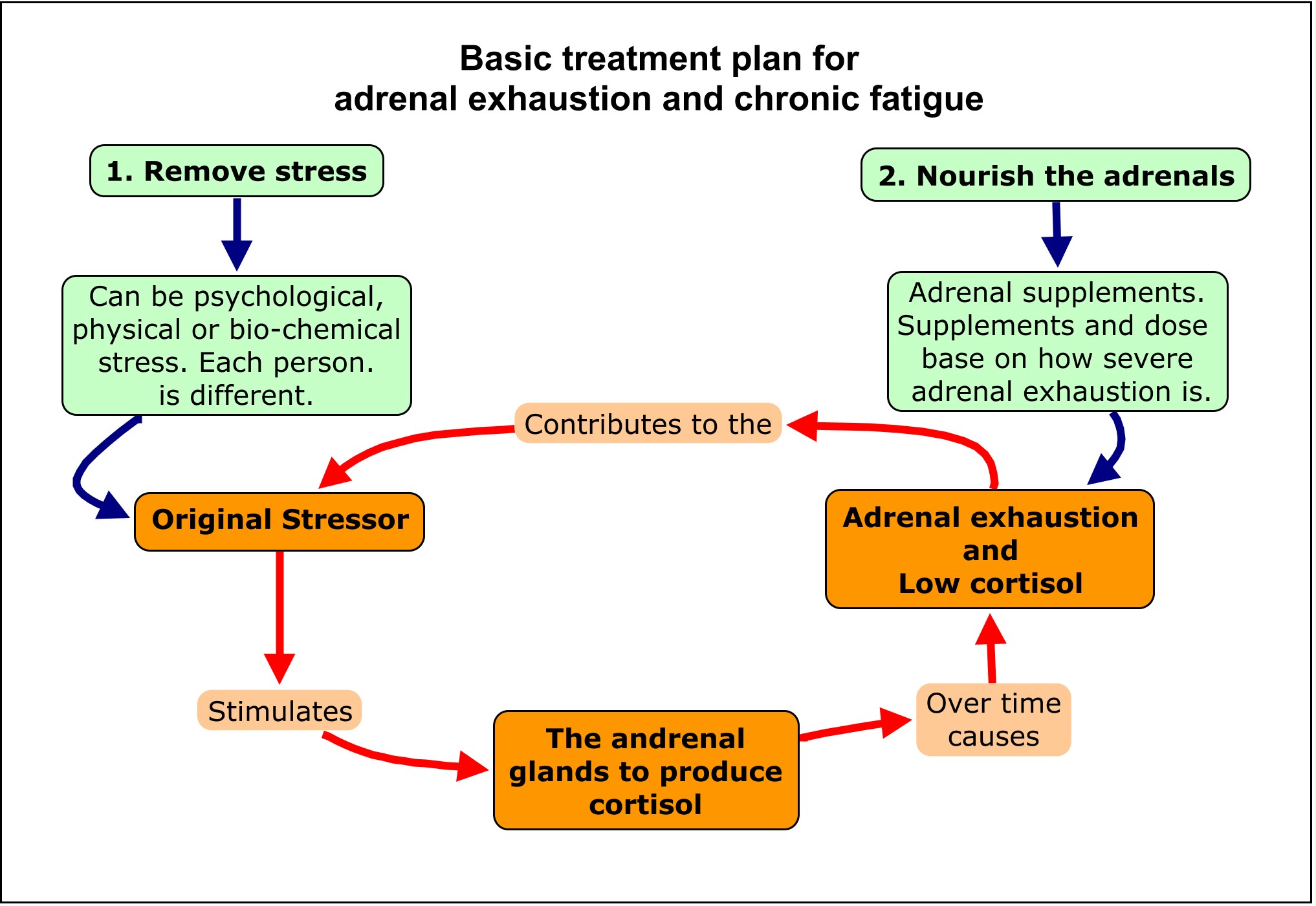 Analysis on Adrenal Fatigue