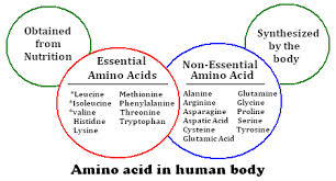 Advantages of Amino Acids