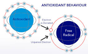 Basics of Antioxidant
