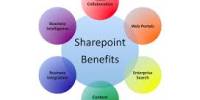 Good SharePoint Consultant
