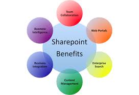 Good SharePoint Consultant