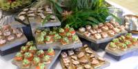 Solution to Perfect Event & Best Catering