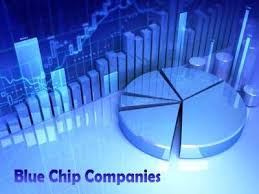 Introduction to Blue Chip Stocks