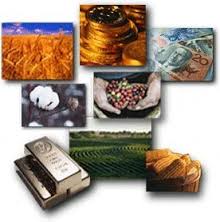 Learn about Commodity Investing