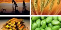 Guideline to Commodity Investments