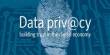Define Data privacy Issues in the Smart Grid