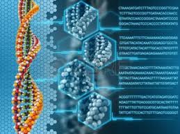 Nature of DNA Analysis