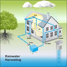 The Significance of Harvesting Rainwater