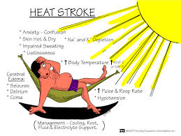 Ways to Prevent Heat Injury