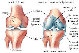 Some Common Ligament Injuries