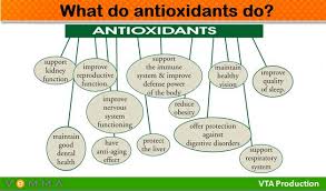 Effectiveness of Liquid Antioxidants