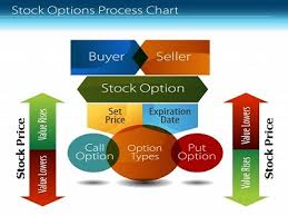 Explain Option Investing Process