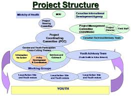 Difference between Functional Structure and Project Structure