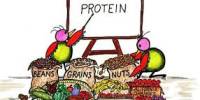 Explain Symptoms of Protein Deficiency