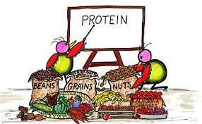 Explain Symptoms of Protein Deficiency