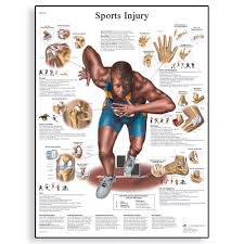 Various Types of Sports Injuries