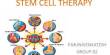 Importance of Stem Cell Therapy