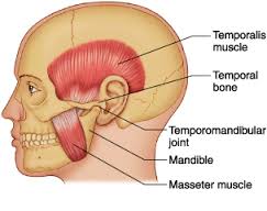 Analysis on Temporomandibular Physiotherapy