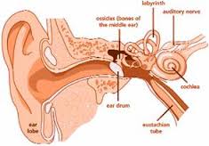 Define on Congenital Hearing Loss