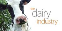 Impact of Nestly Company on Dairy Industries in Bangladesh