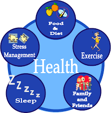 Discuss and Define on Health is Wealth