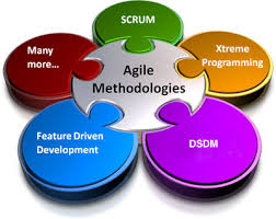 Agile Methodology - Assignment Point