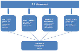 An Overview of Capital Risk Management