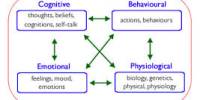 Cognitive Behaviour by E Learning Course