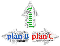 Describe Contingency Plan Strategy