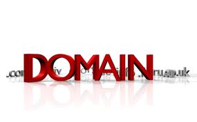 Some facts about the Local Domain Name