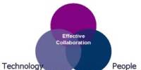 Guidelines for Effective Collaboration