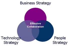 Guidelines for Effective Collaboration