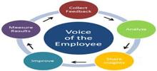 Significance of Employee Feedback Surveys