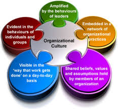 Force of Organizational Culture on Internal Controls