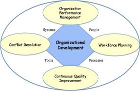 Organizational Development for Improve Performance