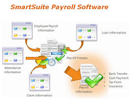 Insight the Perfect Payroll Software