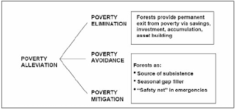 Role of Grameen Bank on Poverty Alleviation