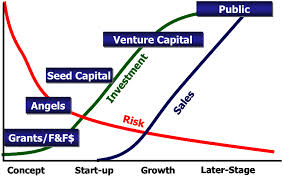 Getting the Risk Capital Investment