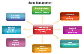 Vital Principles for Efficient Sales Management